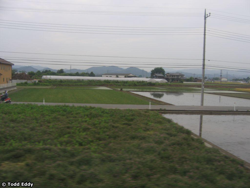 japan-day03-031