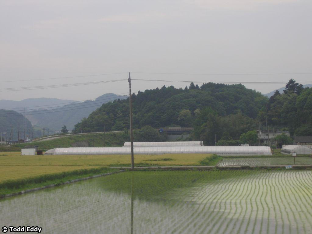 japan-day03-038