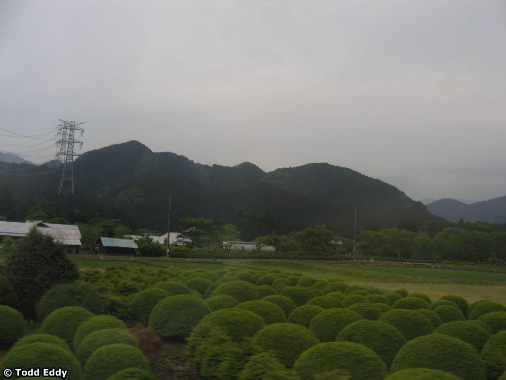 japan-day03-068
