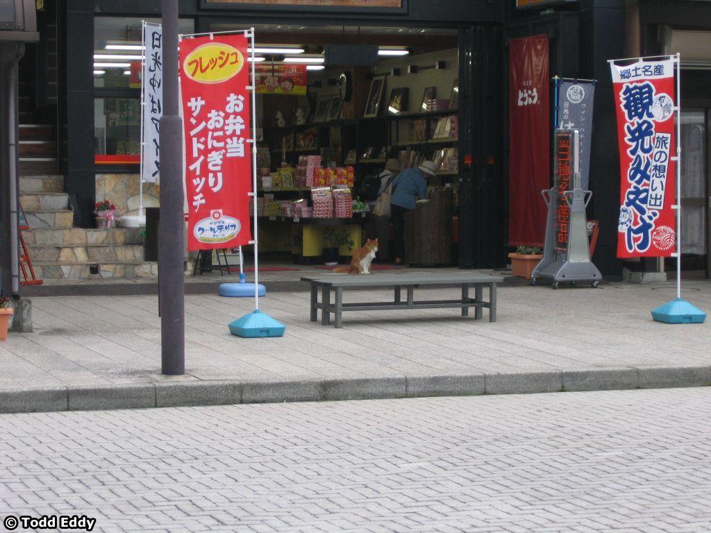 japan-day03-077