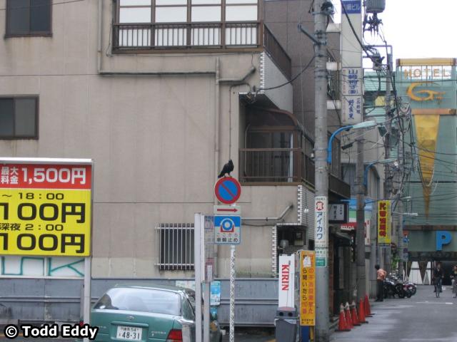 japan-day08-62